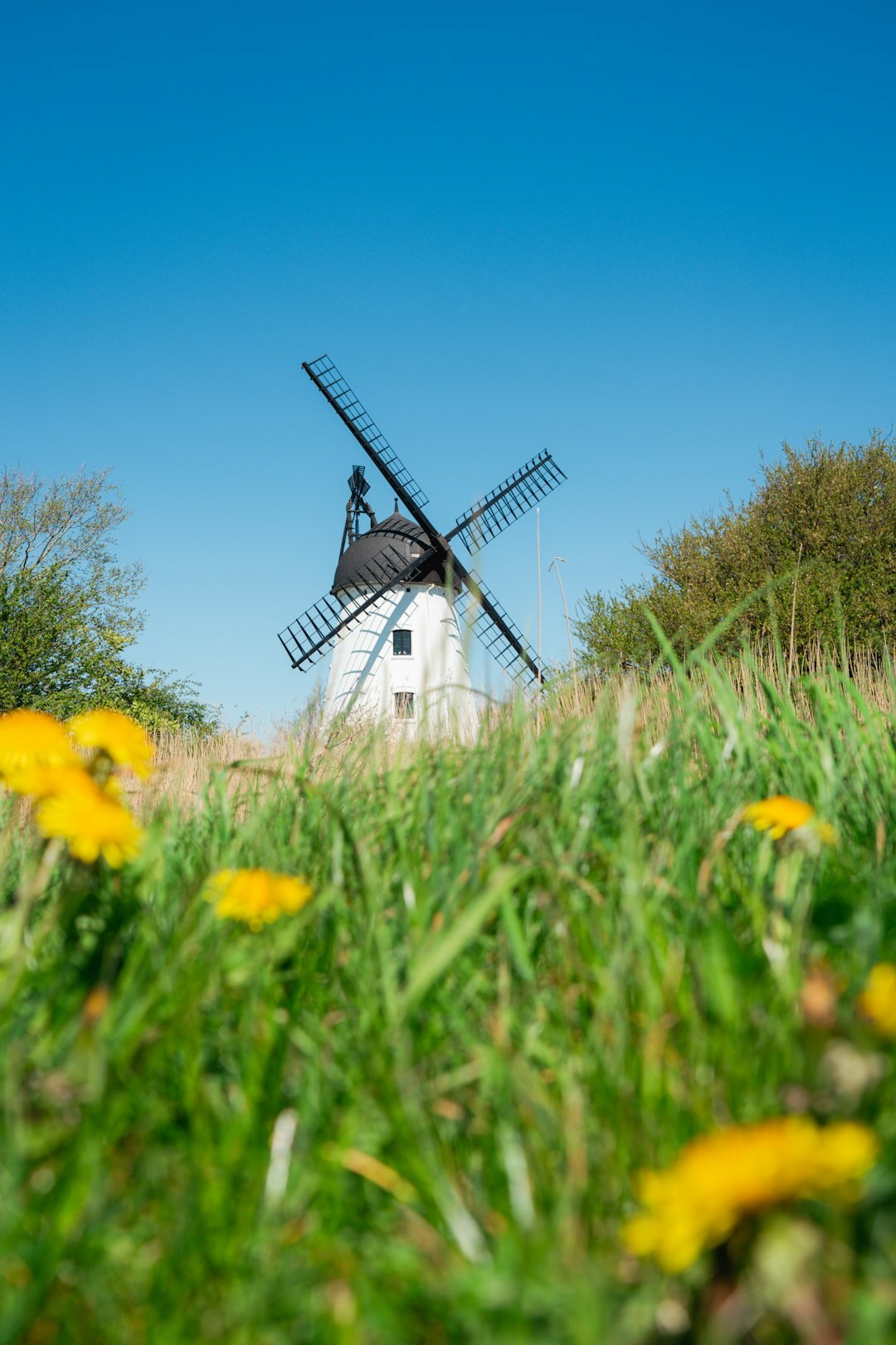 Traditional windmill in the Danish countryside